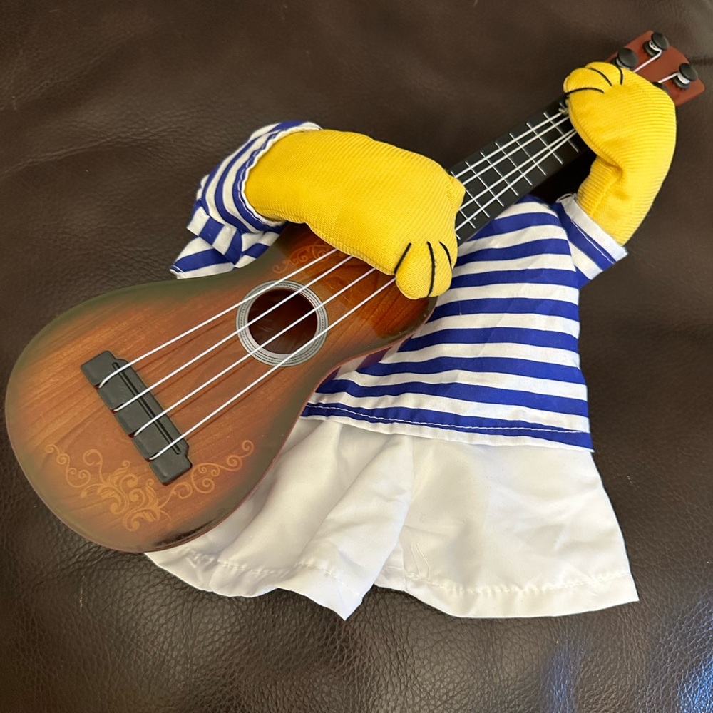 Dog costume with guitar used once for Cinco De Maya